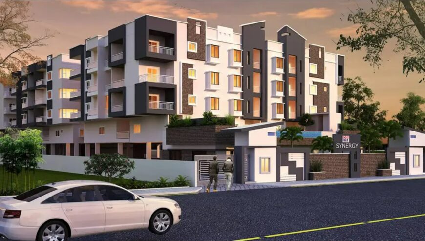 3BHK-DS-MAX SYNERGY