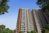 Evergreen @ Prestige Raintree Park